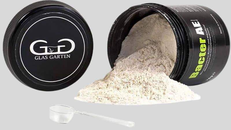 GlasGarten Bacter AE